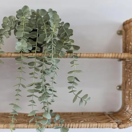 Appartement Rio 2 Barca Costa Calma