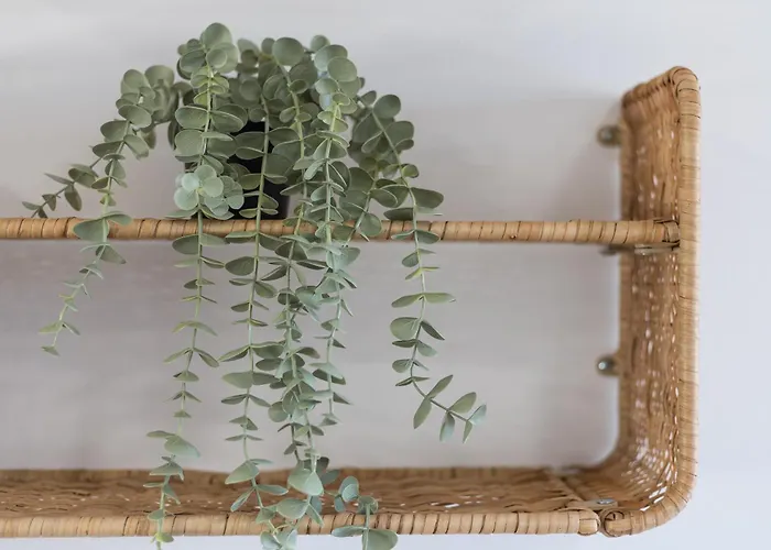 公寓 Rio 2 Barca 科斯塔卡玛