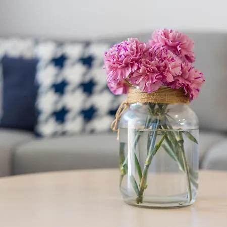 Rio 2 Barca Appartamento