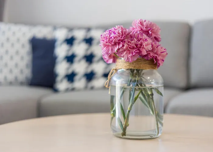 Rio 2 Barca Apartamento